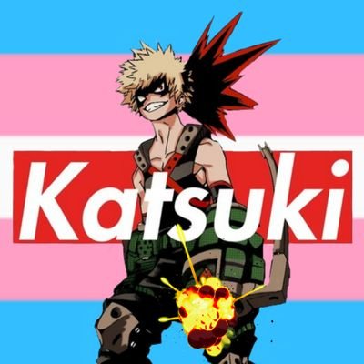 Katsuki30622635's profile picture. Aspiring to be the 1# Hero! 💥
He/Him 💥