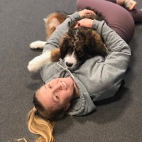 Kelly (@kellywilhide) 's Twitter Profile
