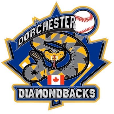 ‘06 Dbacks - 2021 LDBA League/Playoff Champs 2019 OBA C Semi Finalists, 2017 OBA C Finalists, 2016 OBA B Semi Finalists, 2015 OBA C Champs, 2014 OBA A Finalists