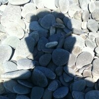 Matt Taylor (@matttnz) 's Twitter Profile