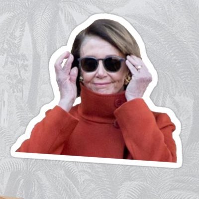 I hate Donald trump and I hate Bernie Sanders and I love nancy pelosi. everything else is undecided