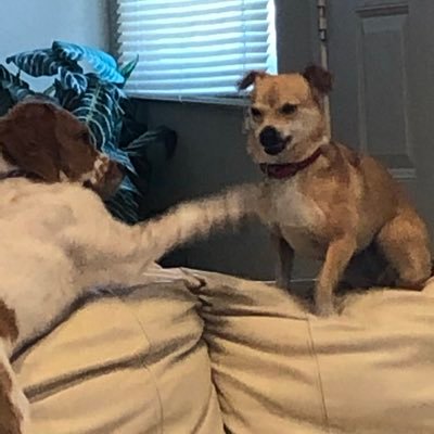 scorpi0szn's profile picture. too self conscious to tweet