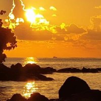 Marion Rackard (@rackard_marion) 's Twitter Profile Photo Marion Rackard (@rackard_marion) 's Twitter Profile Photo