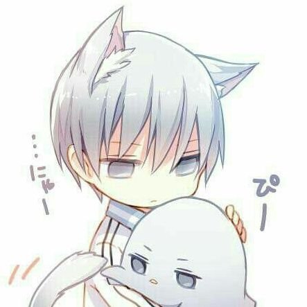 Code249's profile picture. ABC