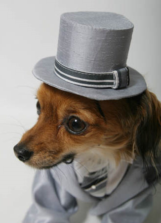 shukatsugakusei's profile picture. 就活ニュースを配信しております。