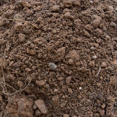 unnamedburied's profile picture. loving worms with the sweet sweet weight of the world on my body
(they/xe)