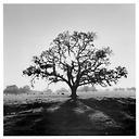 Danielle - @KatBella79 - Twitter