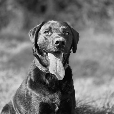 MrMaaaaattt's profile picture. Motorsport fan. EV fan. (Tesla M3 owner) Views are my own. Tesla referral: https://t.co/JX6UKmND5H / Octopus Energy referral code below.