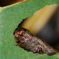 Audrey Bras (@bras_audrey) 's Twitter Profile Photo