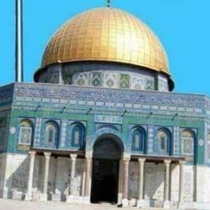 S_Med_Goethe's profile picture. نسوية تؤيد تمكين المرأة، وتحلم بعودة الخلافة واتحاد الأمة