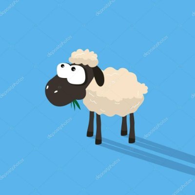 TheSheep1958 Profile Picture