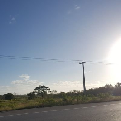 Preliminar_N's profile picture. 