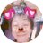 中田尚子のアイコン