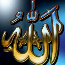 DMandieta's profile picture. 