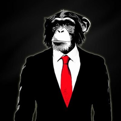 MonkeyNorthen's profile picture. nothing to see here