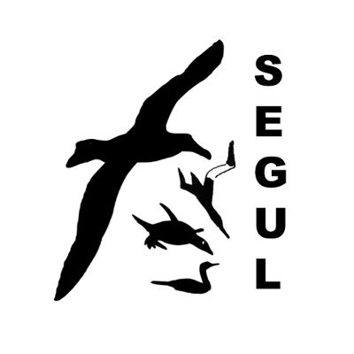 Seabird Ecology Group, University of Liverpool (@LivUni).
Researching #seabirds with a focus on ecophysiology, behaviour & more.