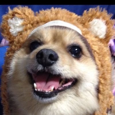 jampro03's profile picture. 色々つぶやく雑アカ
日常から愚痴から好きなものまで。
成人済
新荒🐰🐺勝デク🧨🥦基本右固定