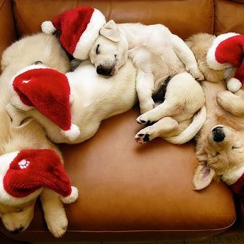 SomaGho51174934's profile picture. Spread Love