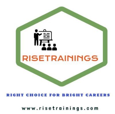 risetrainings's profile picture. 