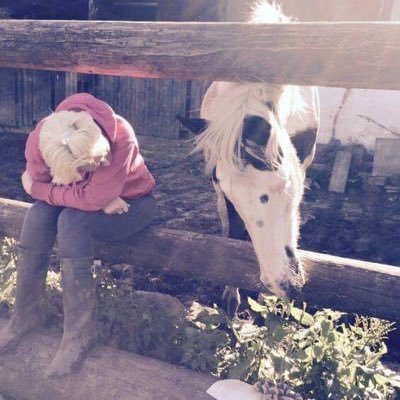 it’s all about the horses.. equine therapy and horse rescue..