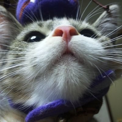 ロボきん Xに認定されたらしい (@hisayamaeg6) / Posts / X