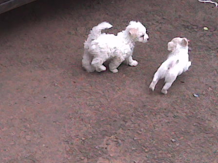 Andrel55's profile picture. 