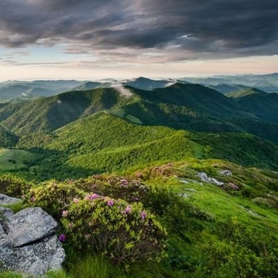 carrighrr's profile picture. EYFS teacher, EYP, Forest school and English lead