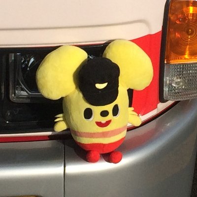 シャッチョかるさんのプロフィール画像
