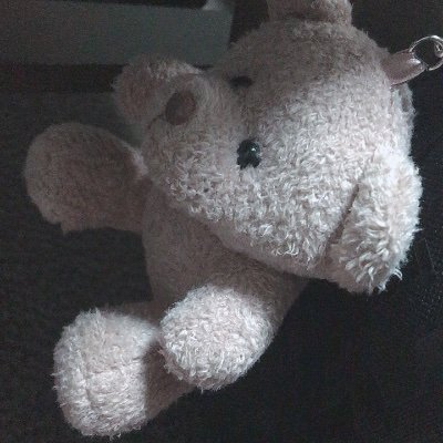 まぐさんのプロフィール画像