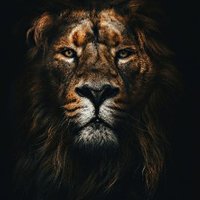 Mthandos (@_mthandos_) 's Twitter Profile