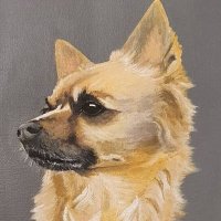 Pets Painted(@pets_painted) 's Twitter Profile Photo