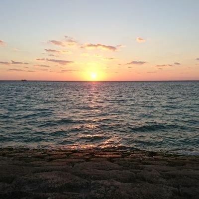 tuos2020's profile picture. 理科大 経営学部 BE科 4年 偶数