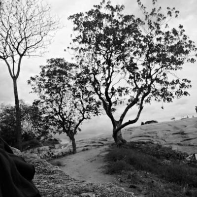 _samrudy_'s profile picture. ....