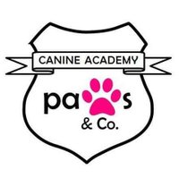 Paws & Co. Canine Academy(@paccaanglesey) 's Twitter Profile Photo