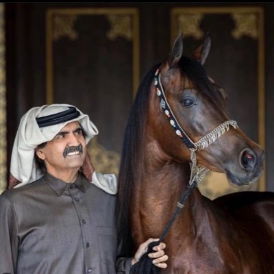 3bdu11a__'s profile picture. 1992