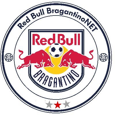 Perfil informativo do Red Bull Bragantino, bicampeão da Série B (1989 e 2019) e campeão da Série C (2007).