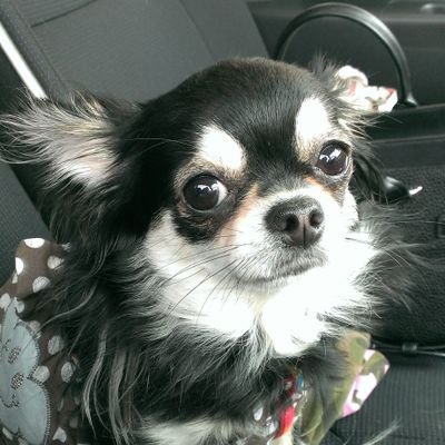 Noel03161's profile picture. とうの昔に30↑です(泣) 見る専門です。(特に腐を・・・。)