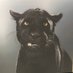 Maya The Jaguar (@MayaThejaguar) Twitter profile photo