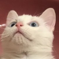 Mathilde Garde (@garde_mathilde) 's Twitter Profile