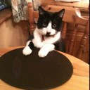 Ian Holley - @Ian_Holley - Twitter