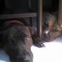 phillip edney - @pittking69 - Twitter