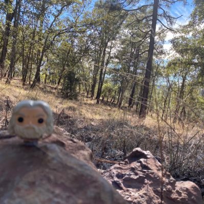 FrediiSp's profile picture. 