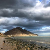 Hugo G. Yajimovich (@acerobc) 's Twitter Profile