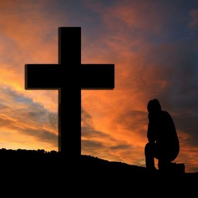 Carol20077566's profile picture. 