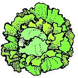 voedingswijzer's profile picture. Wat doen wij met voeding,
wat doet voeding met ons.