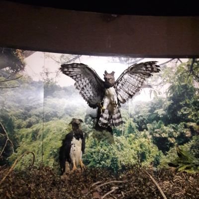 Carmen11293850's profile picture. mi familia