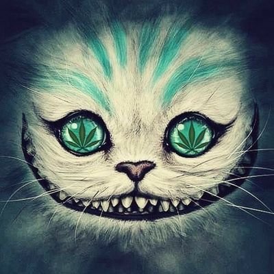 I'm NoT CRAZY, my REALITY is just DIFFERENT than Yours.
oh! and while your at it just FOLLOW ME BACK... please? cool see ya around.
We will have fun ;D