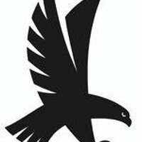 @vientohalcon (@vientohalcon_) 's Twitter Profile Photo