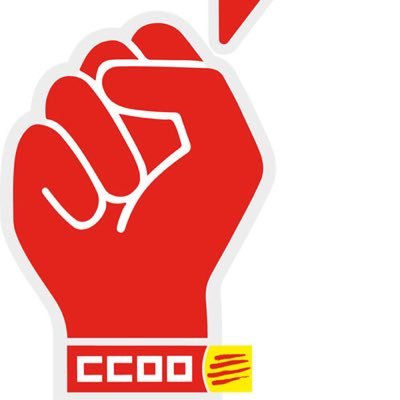 SECCIÓ SINDICAL CCOO AJUNTAMENT SQV