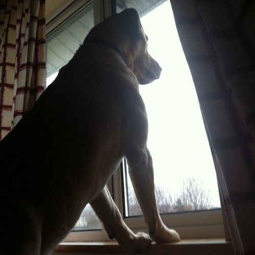 KarlCaff's profile picture. Design technician & Sports fan